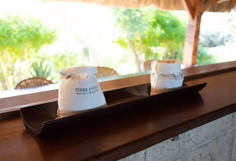 تختخواب و صبحانه Demeure Des Huiles Précieuses