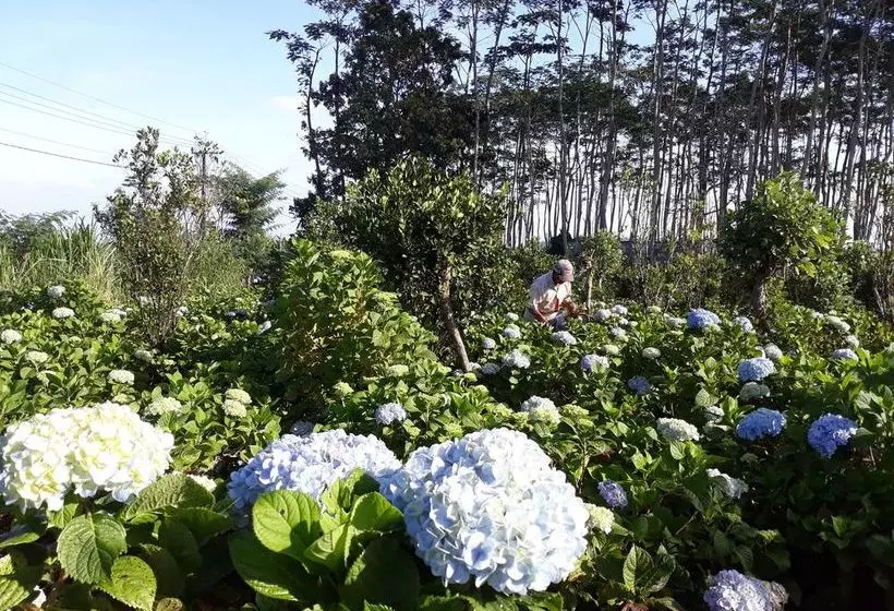 تختخواب و صبحانه Winaposa Villas And Warung Pudak
