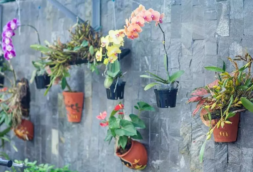 Flower Apartment