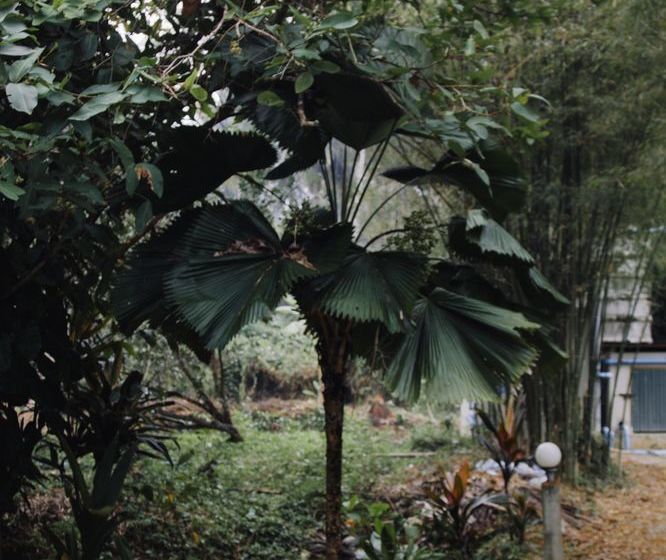 Отель Baan Loylom Suanamphawa