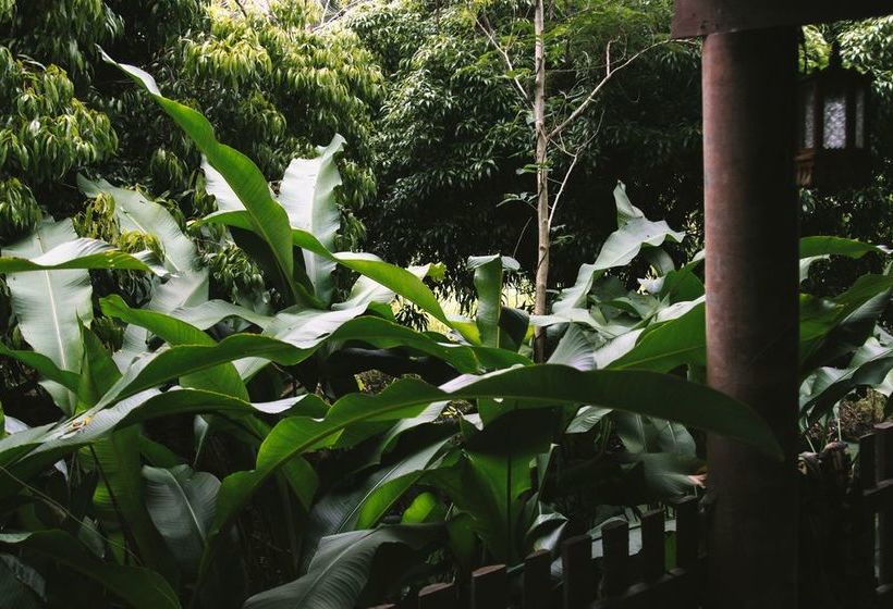 Отель Baan Loylom Suanamphawa