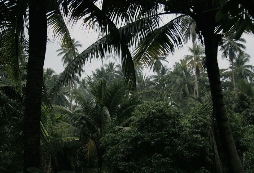 Отель Baan Loylom Suanamphawa