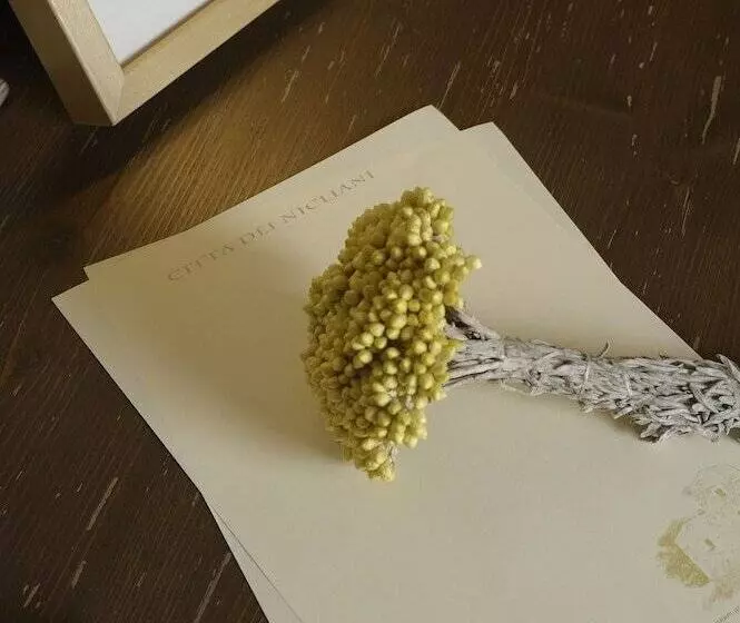 ホテル Citta Dei Nicliani