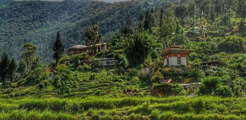 هتل Drubchu Resort