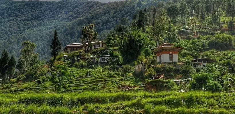 هتل Drubchu Resort
