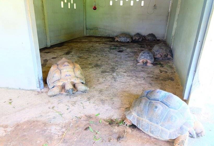 هتل Phutien Resort