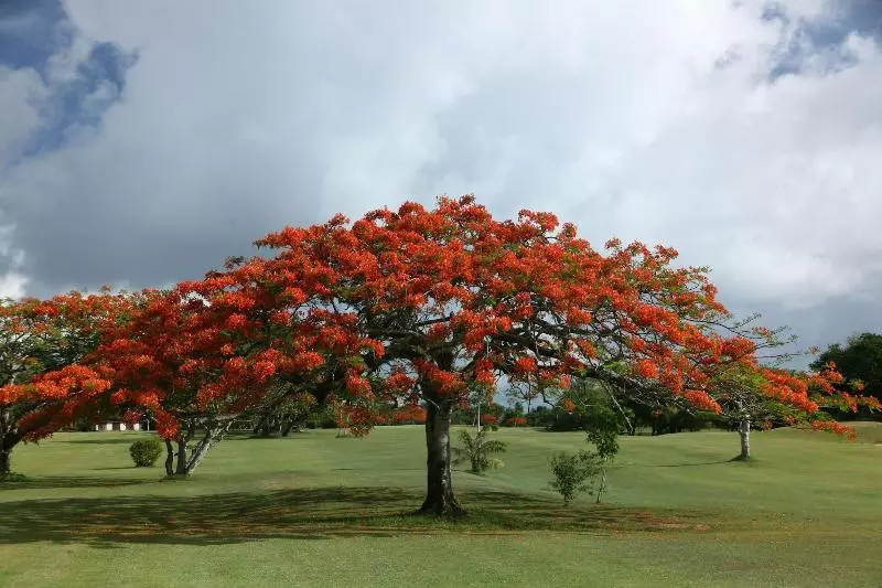 هتل Saipan Vegas Resort