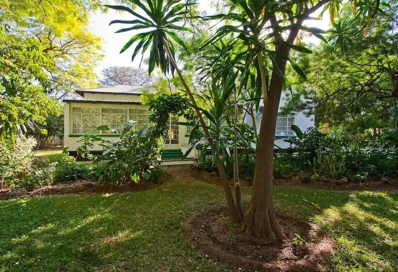 Mose Street Apartments