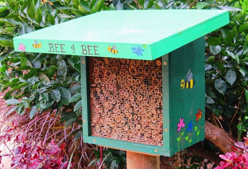 Общежитие On The Wallaby Lodge