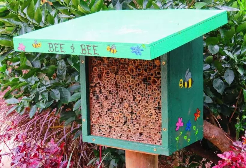 Retkeilymaja On The Wallaby Lodge