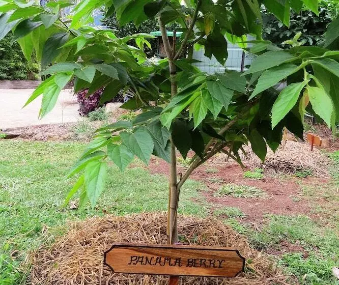 Retkeilymaja On The Wallaby Lodge