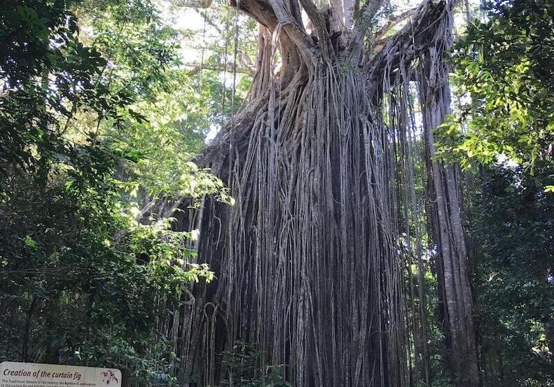 Общежитие On The Wallaby Lodge