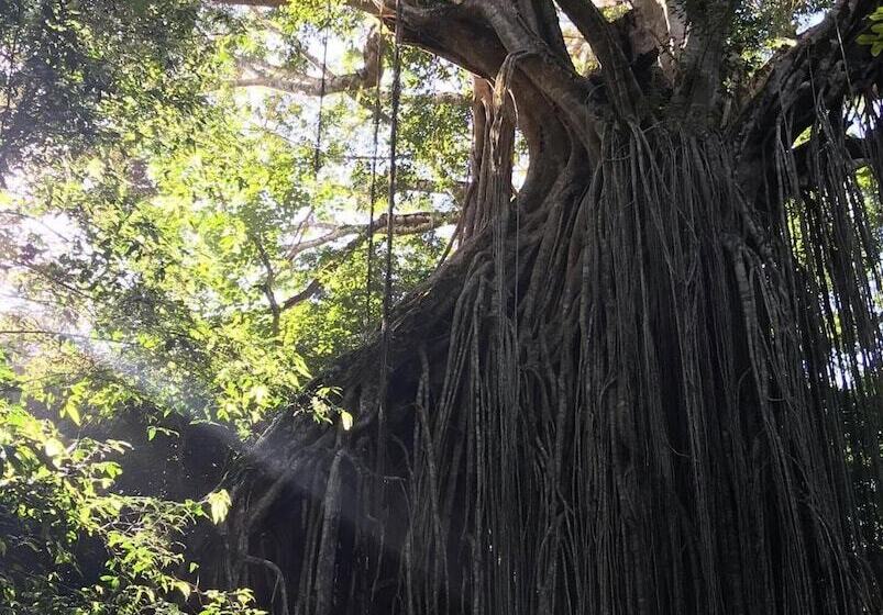 Общежитие On The Wallaby Lodge