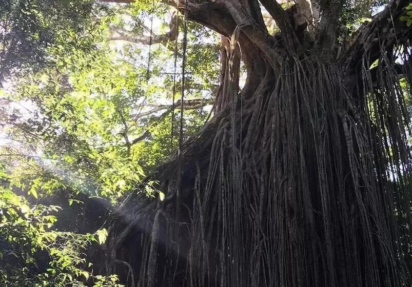 Retkeilymaja On The Wallaby Lodge