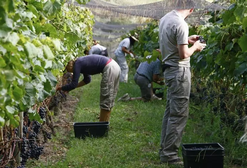 The Little Blue Bach In Oneroa Village