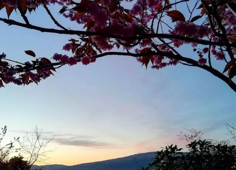 Craignure Bunkhouse  Hostel