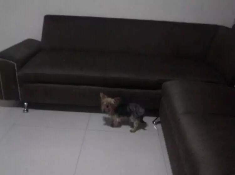 Departamento Nueva Linda Vista