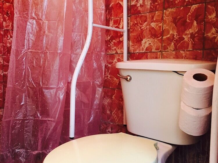 ホテル Downtown Pachuca