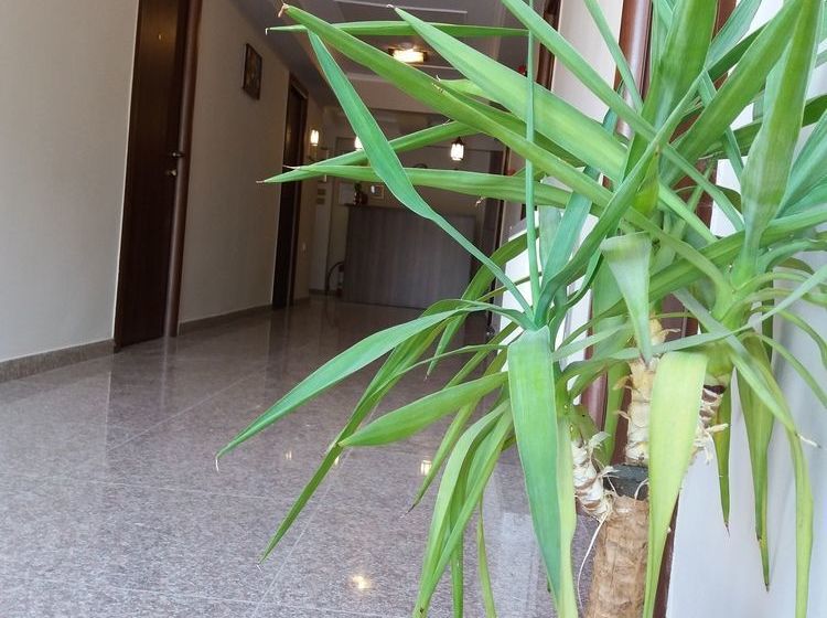 هتل Pensiunea La Iani