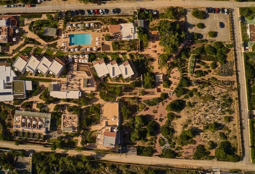 Petunia Ibiza, A Beaumier