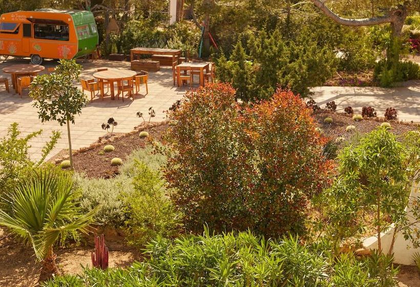 Petunia Ibiza, A Beaumier