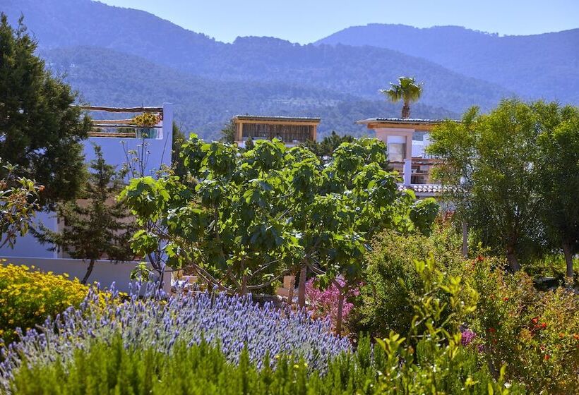 Petunia Ibiza, A Beaumier