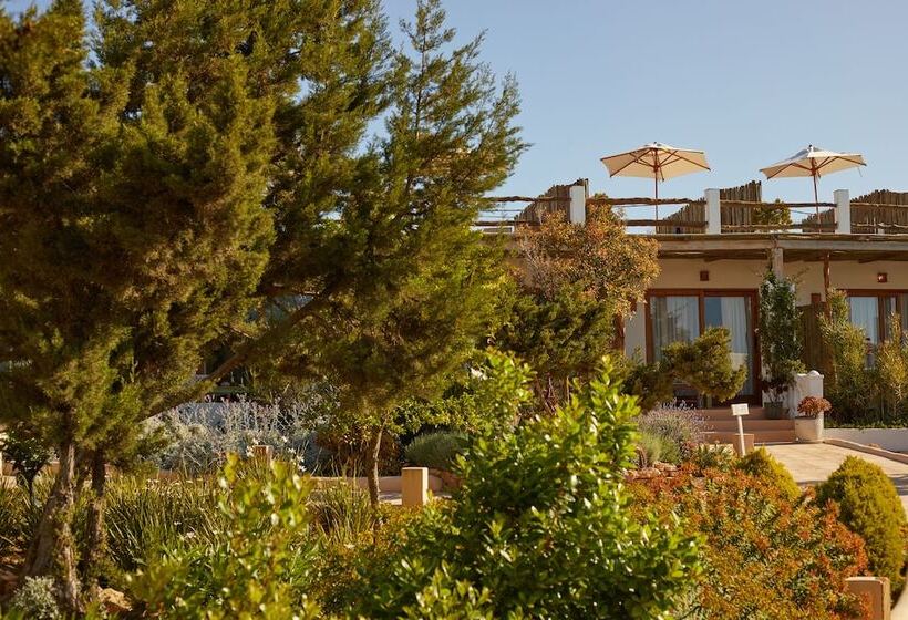 Petunia Ibiza, A Beaumier