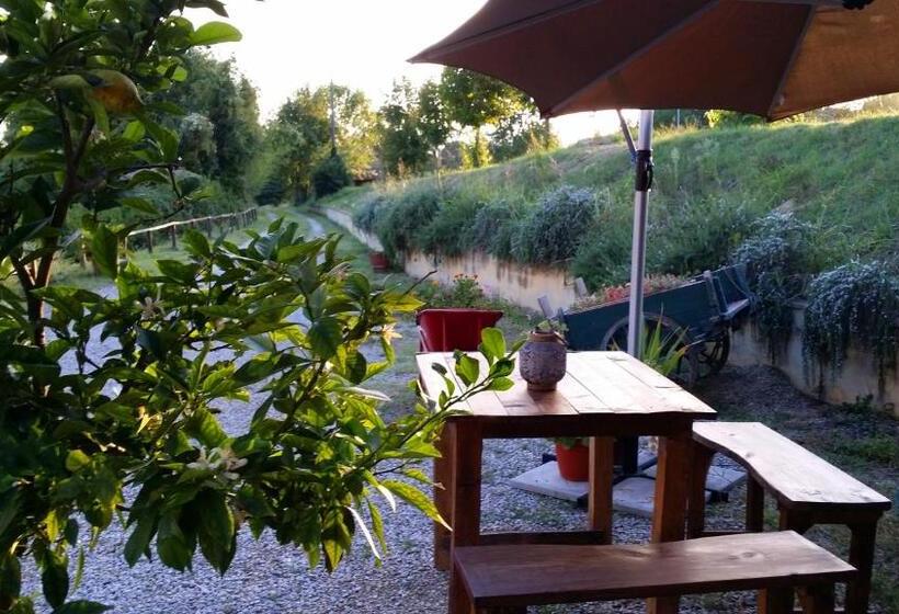 Serendipity House B&b