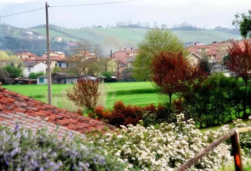 Serendipity House B&b