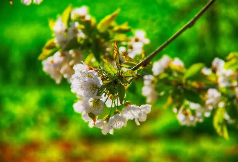 Serendipity House B&b