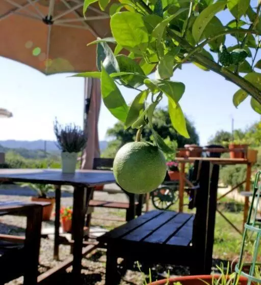 Serendipity House B&b