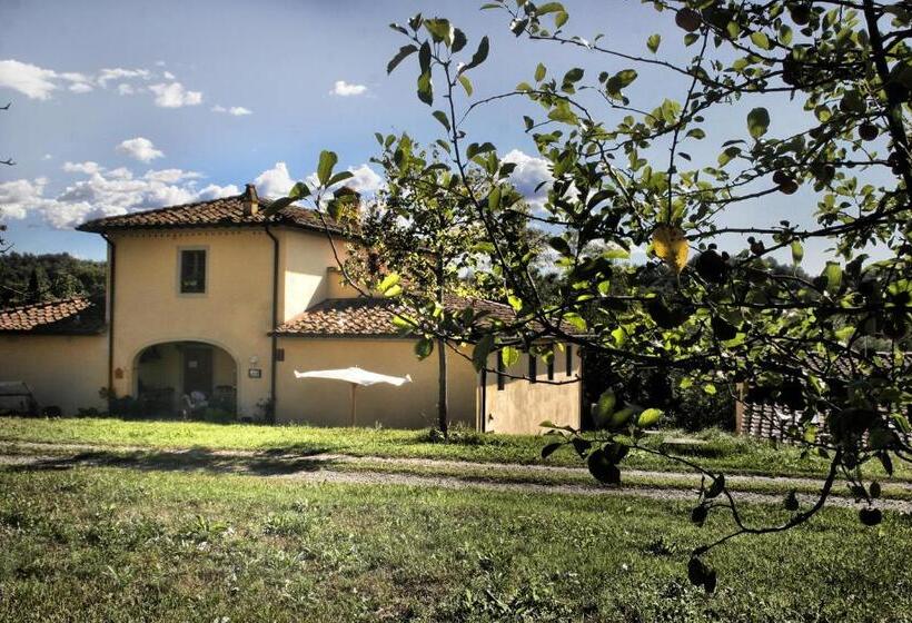 Serendipity House B&b