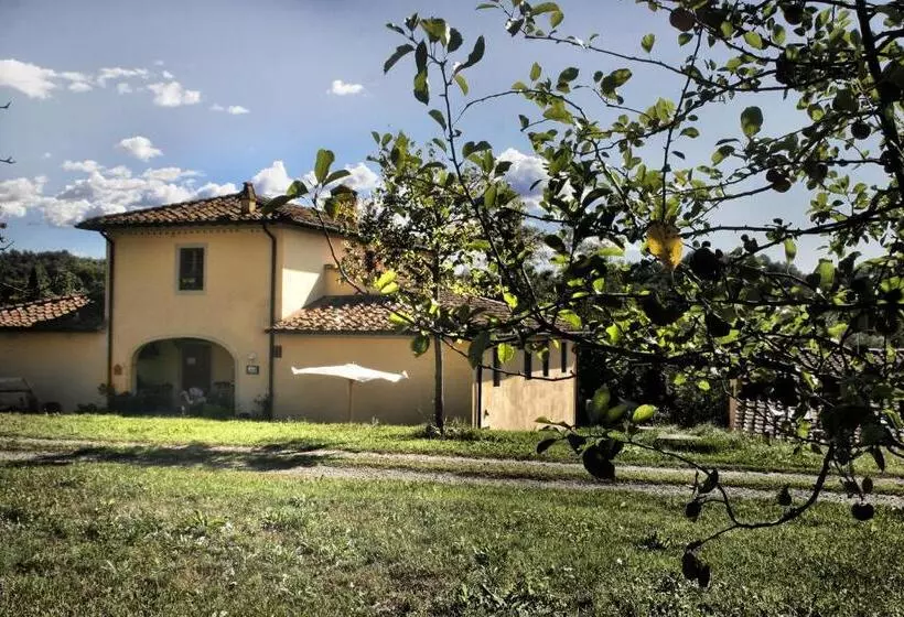 Serendipity House B&b