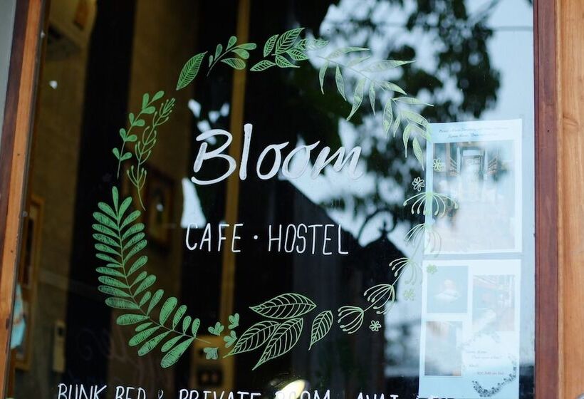 Bloom Cafe & Hostel
