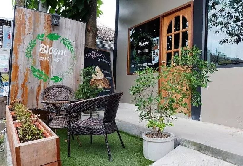 Bloom Cafe & Hostel