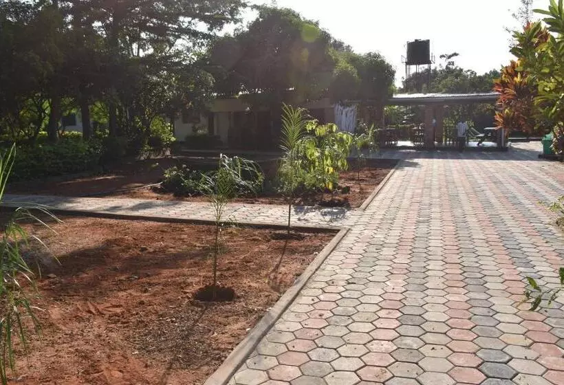 Majatalo Tabonina Bis