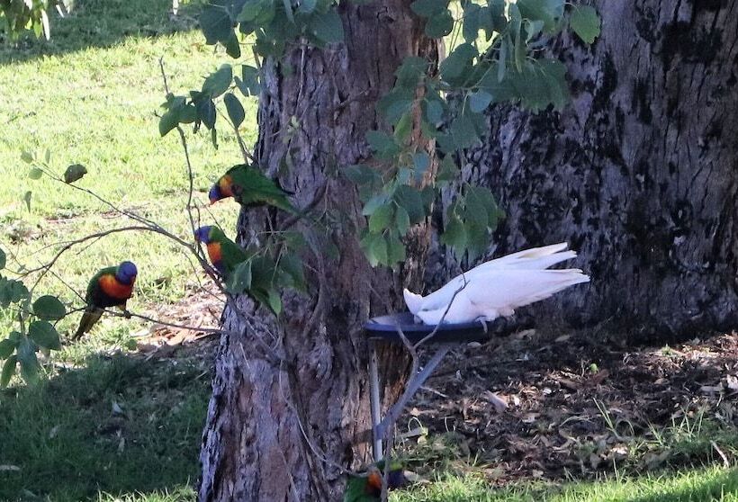 A Stanthorpe Getaway