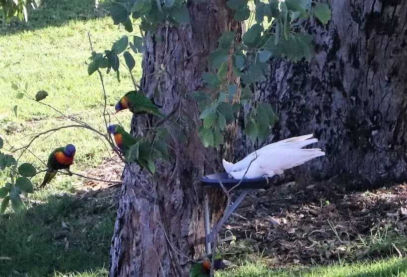 A Stanthorpe Getaway