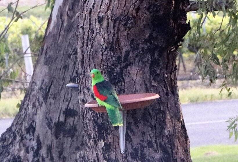 A Stanthorpe Getaway