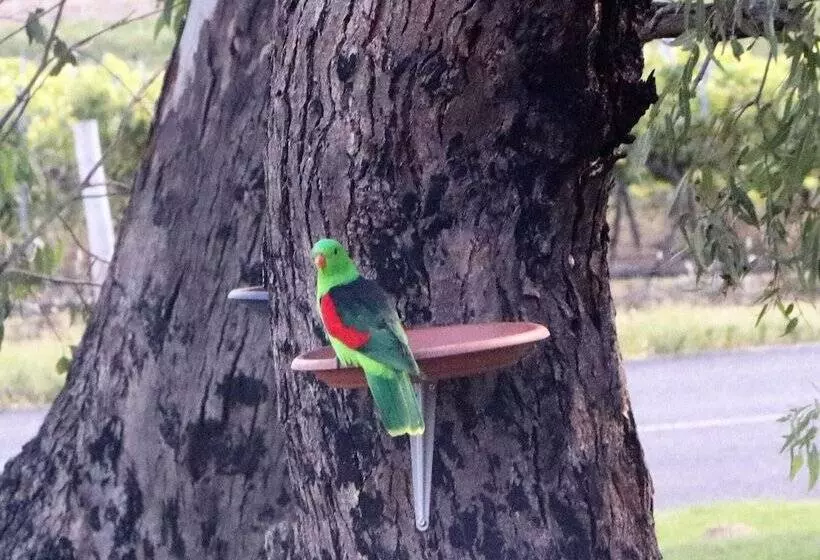 A Stanthorpe Getaway