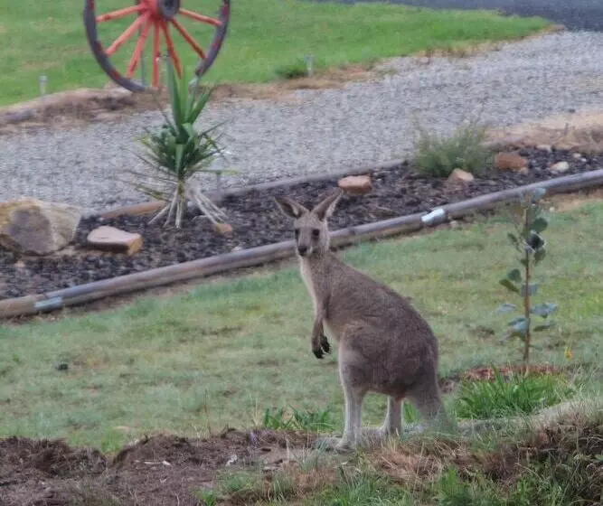 A Stanthorpe Getaway