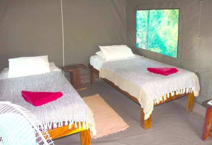 هتل Caprivi Mutoya Lodge And Campsite