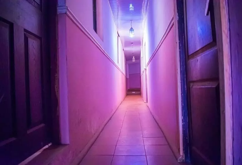 هتل Organico House