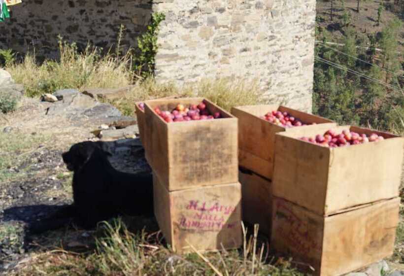 בית מלון כפרי Suvaasa The Resort