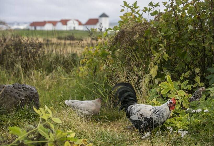 پانسیون Eyvindarholt Guesthouse