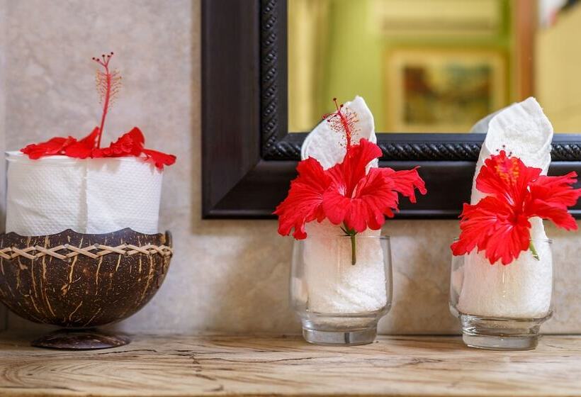 Pensionat Maison Soleil