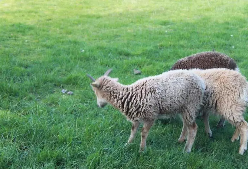 Majatalo The Southwold Guest House