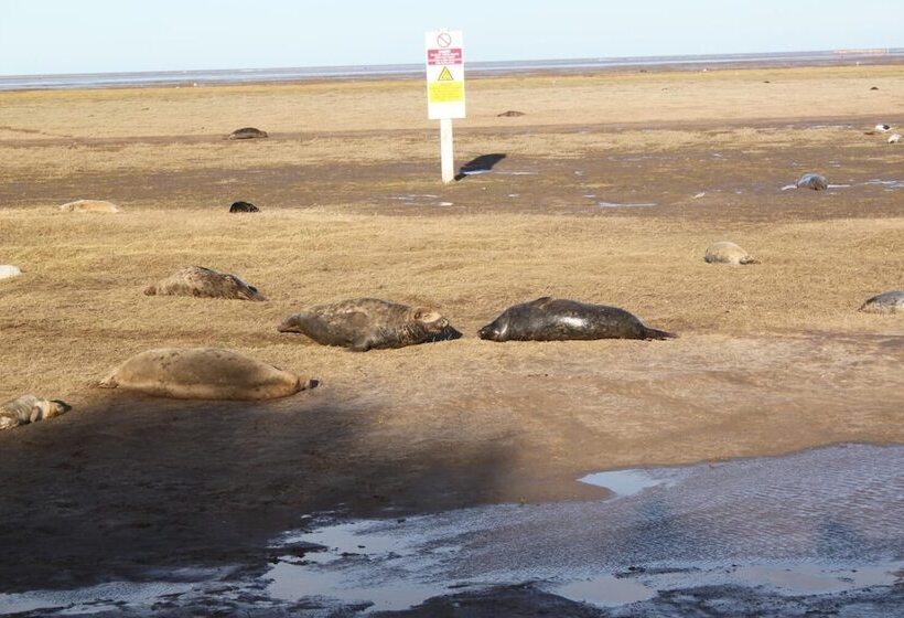 Пансион The Southwold Guest House