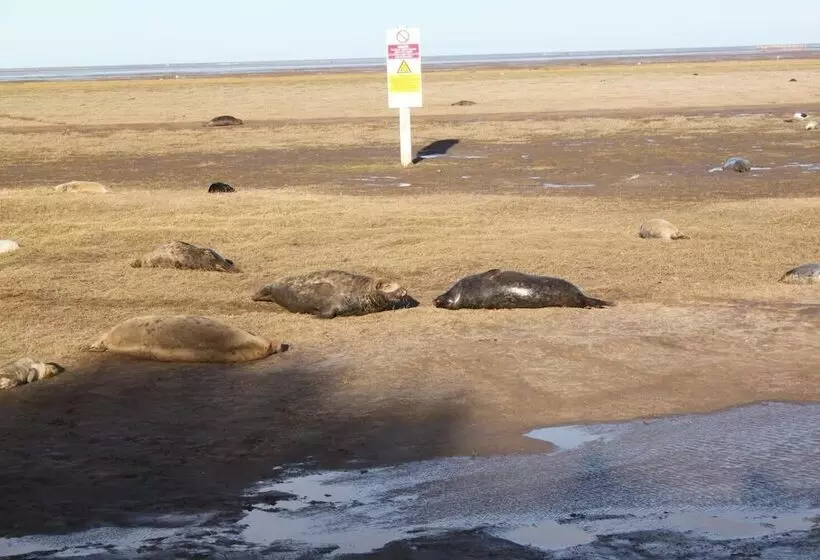 Majatalo The Southwold Guest House