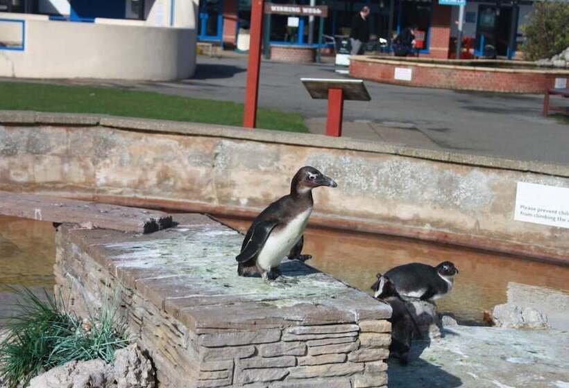 Пансион The Southwold Guest House